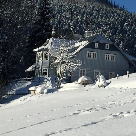 Penzion Modry Pavilon Dolní Malá Úpa Екстериор снимка